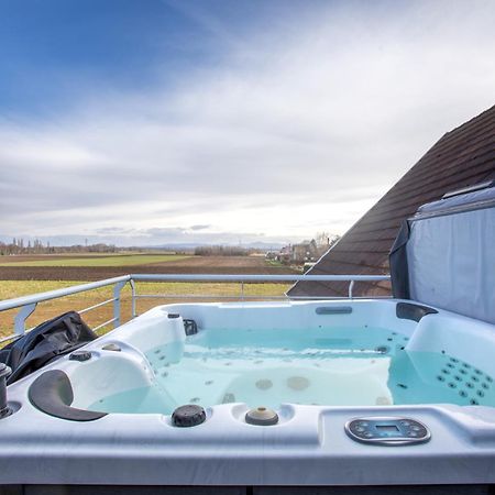Esplanade Home Private Spa Jacuzzi Sauna Parking, Colmar Muntzenheim ภายนอก รูปภาพ